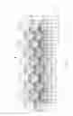 Fig. 03 - Microstructured thin hydrogel films