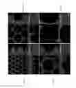 Fig. 09 - Microstructured thin hydrogel films