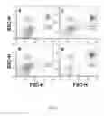 Fig. 22 - Separation of nanoparticles via acoustofluidic flow relocation