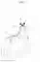 Fig. 03 - Desk type liquid chemical spraying device