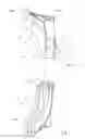 Fig. 09 - Sprinkler including a rotation speed governing assembly