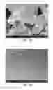 Fig. 07 - Silver Coated Copper Flakes and Methods of Their Manufacture