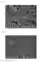 Fig. 02 - Process for producing noble-metal powder