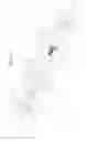Fig. 02 - Pumice device and handle