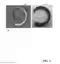 Fig. 03 - Detecting and compensating for an anomaly in three-dimensional object fabrication