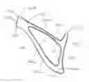 Fig. 01 - Composite structures and methods of forming composite structures