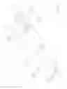 Fig. 08 - PROCESS AND APPARATUS FOR BORDERING A CORRUGATED PLASTIC PANEL AND PANEL THUS OBTAINED