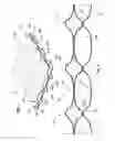 Fig. 04 - Negative poisson's ratio waffle structures