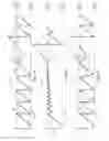 Fig. 06 - Printhead assembly