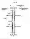 Fig. 04 - Printing apparatus and printing method