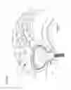 Fig. 04 - TWO CHAMBER TIRE PRESSURE TUNING SYSTEMS