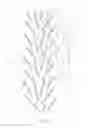 Fig. 06 - Tyre for motorcyle wheels