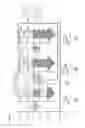 Fig. 06 - Control device for transport vehicle