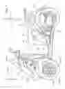 Fig. 02 - Leaning vehicle