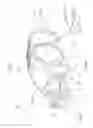 Fig. 02 - Vehicle front structure