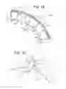 Fig. 02 - Elastic crawler and elastic crawler drive mechanism