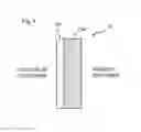 Fig. 09 - Delamination container, method for attaching cap to delamination container, and method for manufacturing delamination container