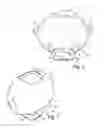 Fig. 02 - Stackable container having overhanging cap