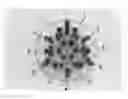 Fig. 01 - Novel Carbon Allotrope