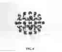 Fig. 07 - Novel Carbon Allotrope