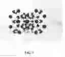 Fig. 08 - Novel Carbon Allotrope