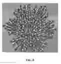 Fig. 09 - Novel Carbon Allotrope