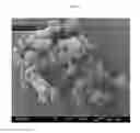 Fig. 09 - CONTROLLED PROCESS FOR PRECIPITATING CALCIUM CARBONATE AND VATERITE PRECIPITATED CALCIUM CARBONATE COMPOSITIONS FORMED BY SAID PROCESS