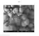 Fig. 04 - A CONTROLLED PROCESS FOR PRECIPITATING POLYMORPHS OF CALCIUM CARBONATE