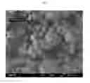 Fig. 06 - A CONTROLLED PROCESS FOR PRECIPITATING POLYMORPHS OF CALCIUM CARBONATE