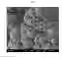 Fig. 22 - A CONTROLLED PROCESS FOR PRECIPITATING POLYMORPHS OF CALCIUM CARBONATE