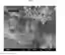 Fig. 32 - A CONTROLLED PROCESS FOR PRECIPITATING POLYMORPHS OF CALCIUM CARBONATE