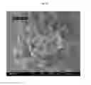 Fig. 33 - A CONTROLLED PROCESS FOR PRECIPITATING POLYMORPHS OF CALCIUM CARBONATE