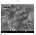 Fig. 34 - A CONTROLLED PROCESS FOR PRECIPITATING POLYMORPHS OF CALCIUM CARBONATE