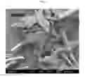 Fig. 37 - A CONTROLLED PROCESS FOR PRECIPITATING POLYMORPHS OF CALCIUM CARBONATE