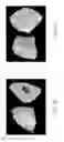 Fig. 04 - High-magnesium concentrated liquid
