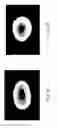 Fig. 08 - High-magnesium concentrated liquid