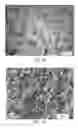 Fig. 02 - NITRIDE-BASED CONTROLLED-RELEASE FERTILIZERS AND PROCESS FOR MAKING SAME