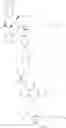 Fig. 30 - Disubstituted amino acids and methods of preparation and use thereof