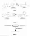 Fig. 03 - Methods for producing viloxazine salts and novel polymorphs thereof
