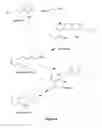 Fig. 04 - Methods for producing viloxazine salts and novel polymorphs thereof