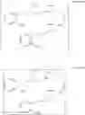 Fig. 16 - Methods for producing viloxazine salts and novel polymorphs thereof