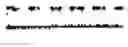 Fig. 02 - Use of avermectin derivative for increasing bioavailability and efficacy of macrocyclic lactones