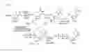 Fig. 02 - Nucleoside triphosphates with stable aminoxy groups