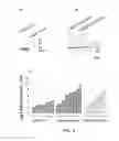 Fig. 03 - Vaccine antigen with increased immunogenicity