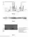 Fig. 04 - Vaccine antigen with increased immunogenicity