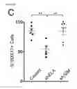 Fig. 76 - Polypeptides, nucleic acids and uses thereof