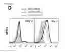 Fig. 80 - Polypeptides, nucleic acids and uses thereof
