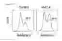 Fig. 95 - Polypeptides, nucleic acids and uses thereof