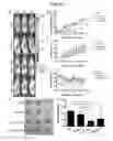 Fig. 09 - Pharmaceutical compositions comprising humanized anti-CCR4 IgG4 antibody