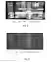 Fig. 07 - Glycated CD59 peptides, their preparation, and uses thereof